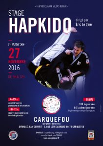 1611_paris_hapkido_flyer_stage_carquefou_a5-1